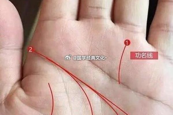 人富贵命：如何透视生命中的财富与命运之道