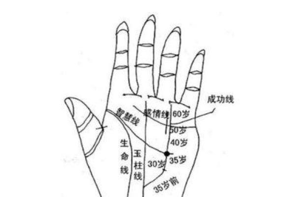 手指7个螺纹，揭示命运的神秘密码