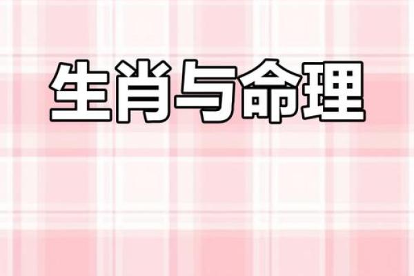 十二生肖与命运：每个生肖的命理解析与人生启示