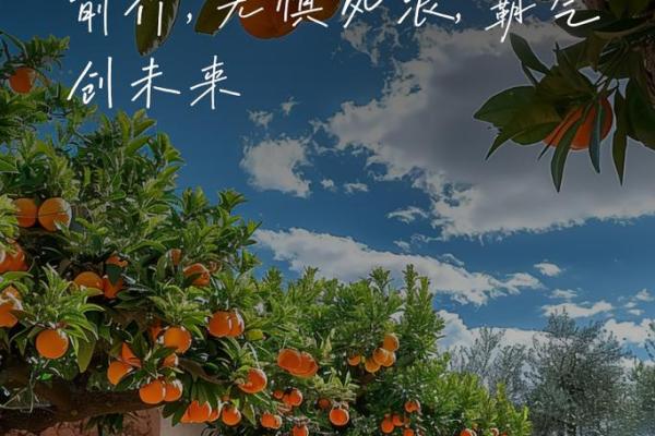 属猴命理解析:破解命运之道,助你扬帆起航! 属猴命理解析:破解命运之道,助你扬帆起航!