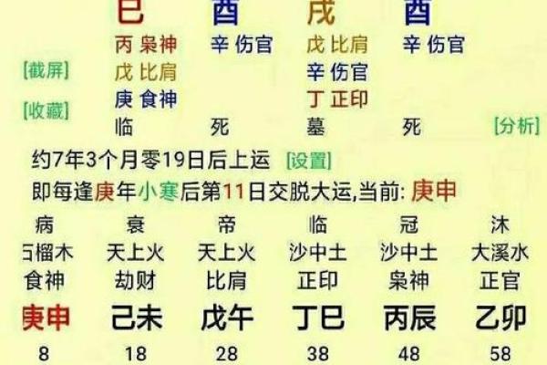 伤官命格的人生特征与性格解析