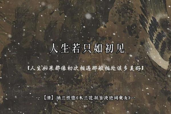 人生若只如初见,如何面对命运的考验? 人生若只如初见,如何面对命运的考验?