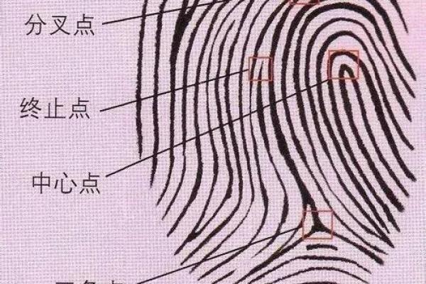 男人手指9个斗,揭示你的命运秘密! 男人手指9个斗,揭示你的命运秘密!