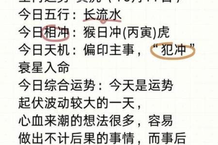 生肖虎：了解不同年份虎的命运，助你更好规划人生