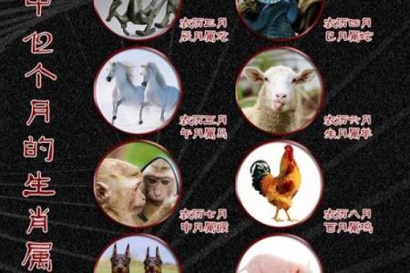 属鼠正月出生，灵动聪慧的命运之旅