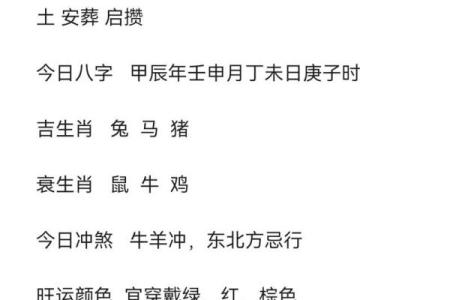 生肖鼠、兔、马：熬夜族的“命中注定”