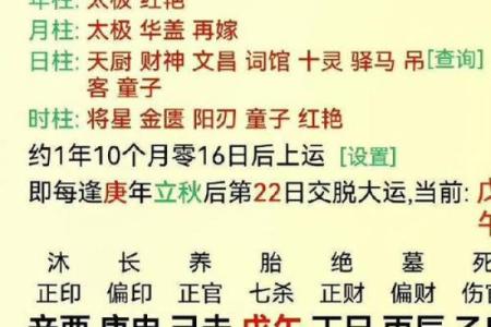 时柱驿马：探索女命八字中的智慧与奥秘