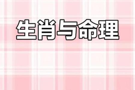 十二生肖与命运：每个生肖的命理解析与人生启示