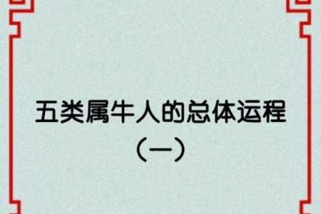 属牛二十二岁：命理解析与人生命运的启示