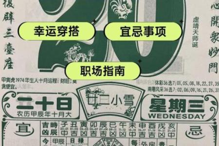 属鼠七月生的命运与性格解析，揭晓你的生活之路！