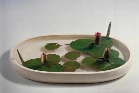 嗜水如命的植物：揭秘水生植物的奇妙世界