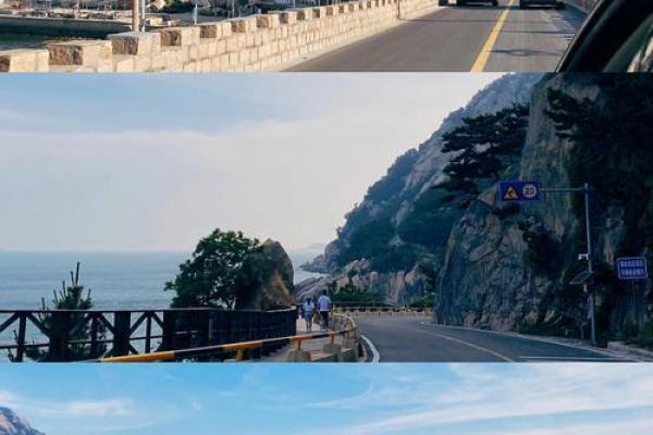 适合定居青岛的人群特征与生活品质探讨