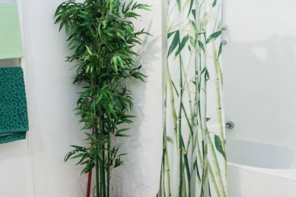 壬子年木命者玄关花卉摆放指南,打造温馨和谐的家居环境 壬子年木命者玄关花卉摆放指南,打造温馨和谐的家居环境