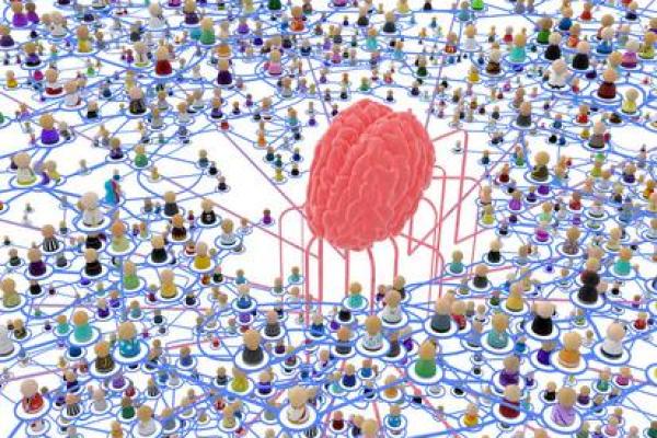 1972年出生的人命运之路：揭开辛勤与智慧的双重密码