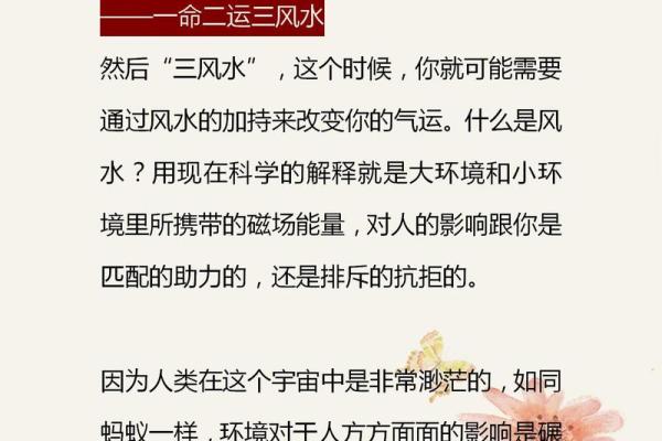 如何测自己是什么命星，揭示你的命运密码！