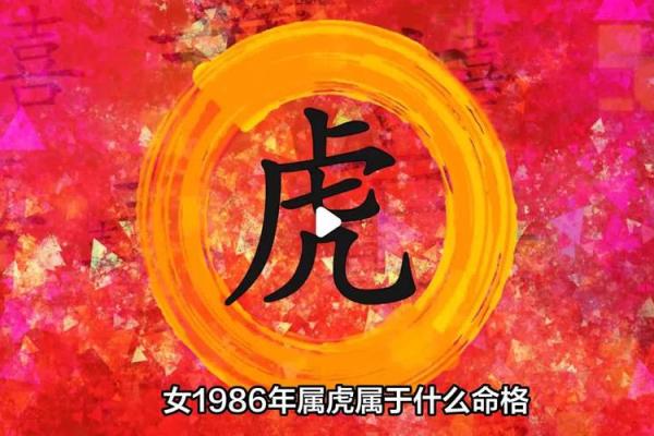 属虎女亥时出生,命运与性格的深度解析 属虎女亥时出生,命运与性格的深度解析