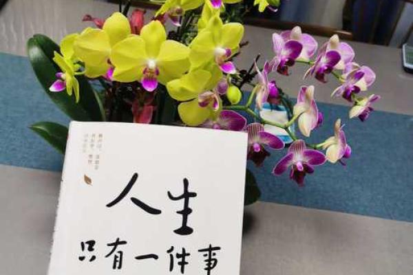 男命带勾绞的深层解读与人生意义探讨 男命带勾绞的深层解读与人生意义探讨