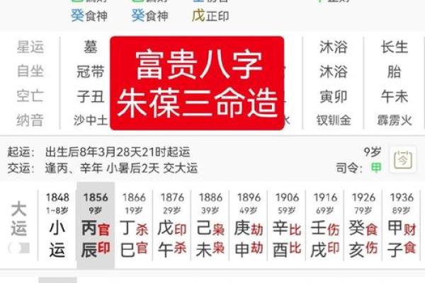 女命食伤生财格的命理解析与综合运势 女命食伤生财格的命理解析与综合运势