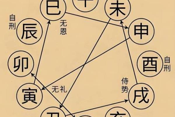 男命女命:探寻命理中的性别之道与人生轨迹 男命女命:探寻命理中的性别之道与人生轨迹