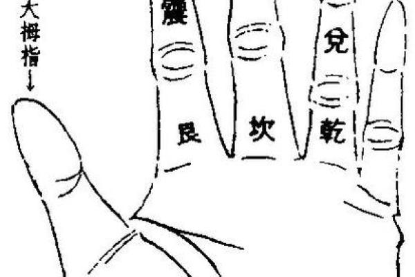 手指算命揭秘：通过手指特征解读你的命运与性格