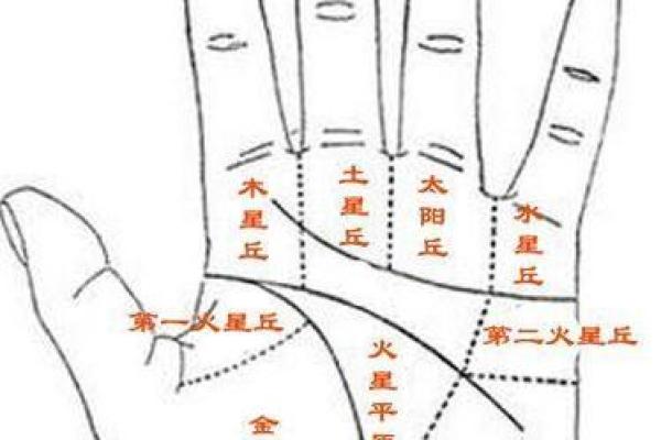 手指算命揭秘：通过手指特征解读你的命运与性格