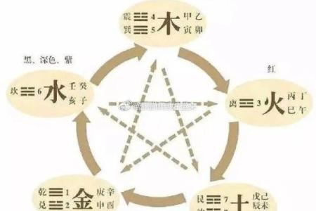 属虎男孩的五行解析：命理与性格探讨