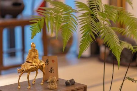 属狗水命的人适合养哪些植物？探索植物与命理的完美结合！