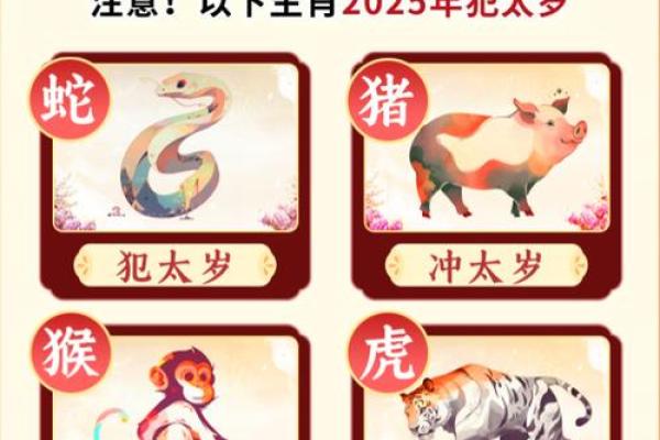 属虎人的命运解析：勇猛与智慧的结合，了解他们的年命与生活