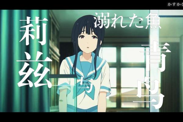 青鸟之命：那些被命运眷顾的灵魂之旅