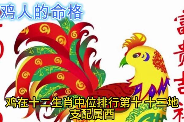 属鸡木命宝宝取名技巧与美好寓意探析 属鸡木命宝宝取名技巧与美好寓意探析