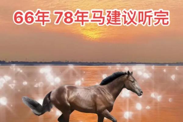 生肖马人最怕的命运:揭开未知的恐惧面纱 生肖马人最怕的命运:揭开未知的恐惧面纱