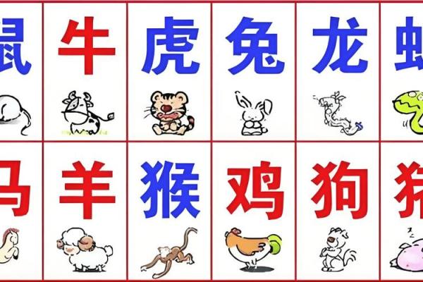 属马男孩的命理走向：2002年出生的孩子该何去何从？