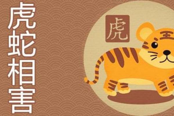 属虎与属蛇的命理探秘:二者之中,你更倾向于哪种命运? 属虎与属蛇的命理探秘:二者之中,你更倾向于哪种命运?