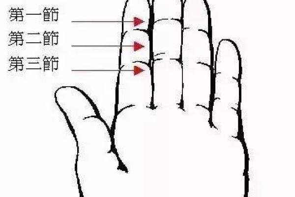 手指有棱，命运自知：解读手指棱纹的奥秘与启示