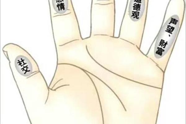 手指有棱，命运自知：解读手指棱纹的奥秘与启示
