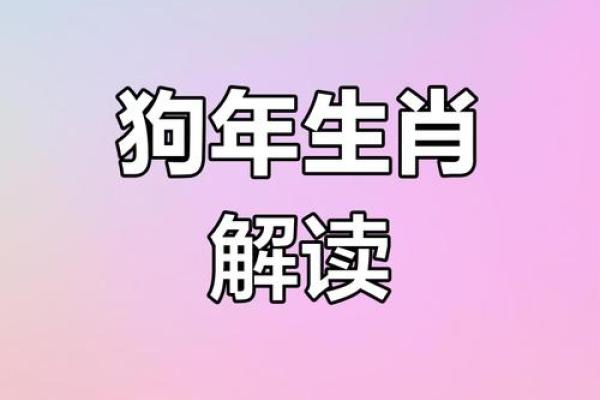 属狗的六月命运解析与运势建议