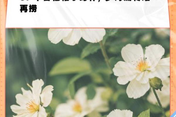 命运多舛，每一步都是考验与磨难