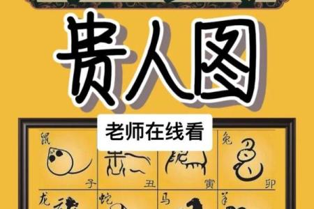 属马男孩蛇晒日是什么命？解析命理中的神秘与深意！