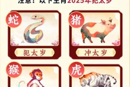 属虎人的命运解析：勇猛与智慧的结合，了解他们的年命与生活