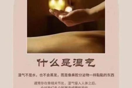 杀命养命之道：生存与心灵的平衡之术