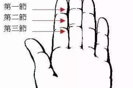 手指有棱，命运自知：解读手指棱纹的奥秘与启示
