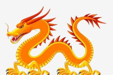 属龙大难已过，未来命运如何转变？