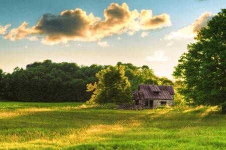 山下火命：命理解析与人生规划的智慧之光