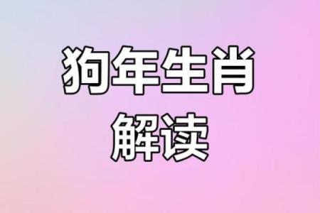 属狗的六月命运解析与运势建议