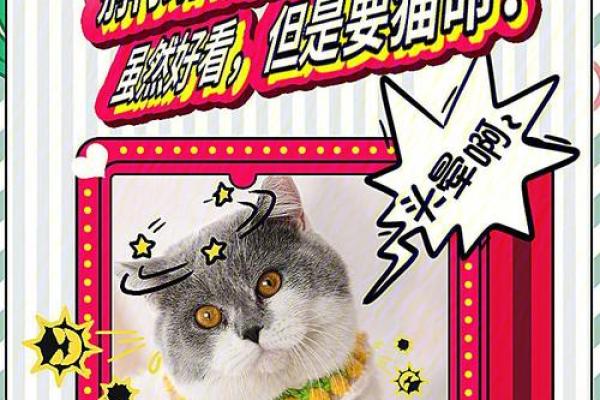 猫与驴为何难以有命,探索生命的深层密码 猫与驴为何难以有命,探索生命的深层密码