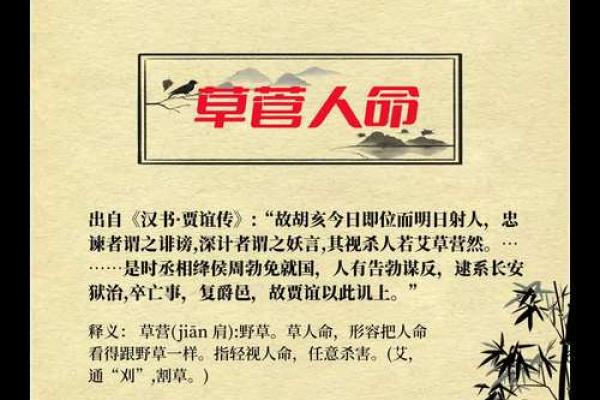 生如鸿毛，命若野草：漫谈生命的轻盈与坚韧