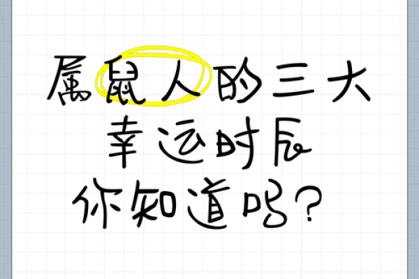 什么时辰出生的鼠命更佳？探索鼠命的最佳时辰与运势