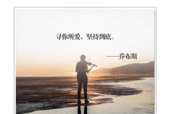 拿命去做的事情:对生命的热爱与追求 拿命去做的事情:对生命的热爱与追求