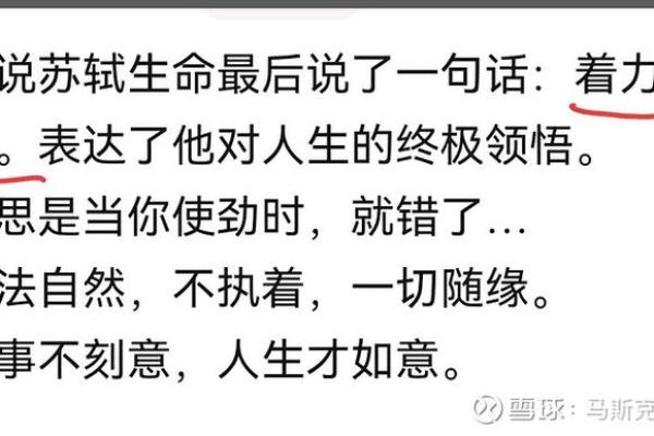 道法自然，命运自握：探寻“什么等于命”的哲理之路