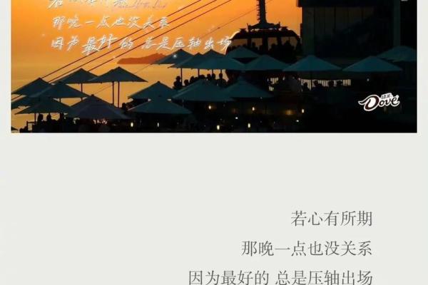 生命的脆弱与希望：为什么我们只有一天命